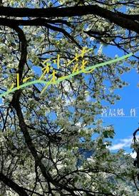 从2000年开始每年的4月26日被定