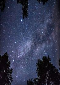 一夫多妻的生活安排